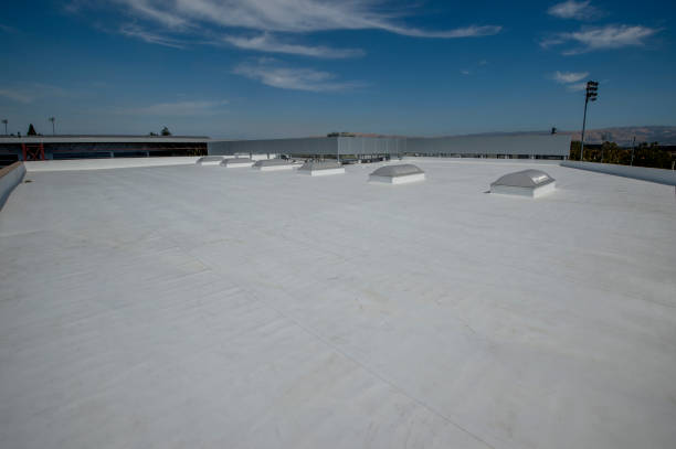 Best Roof Replacement  in Mokena, IL