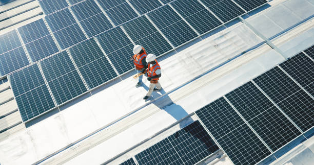 Best Roof Maintenance and Cleaning  in Mokena, IL