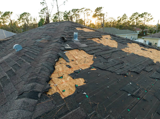 Best Storm Damage Roof Repair  in Mokena, IL
