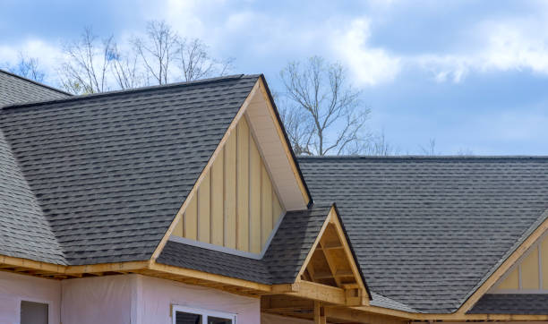 Professional Roofing Service in Mokena, IL